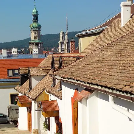 Appartement Vinosseum Bor- Es Apartmanhaz