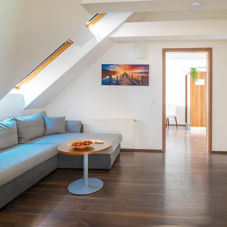 Vinosseum Bor- Es Apartmanhaz *