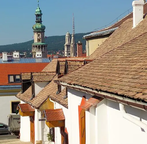 Apartamento Vinosseum Bor- és